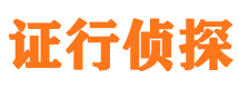 清新侦探